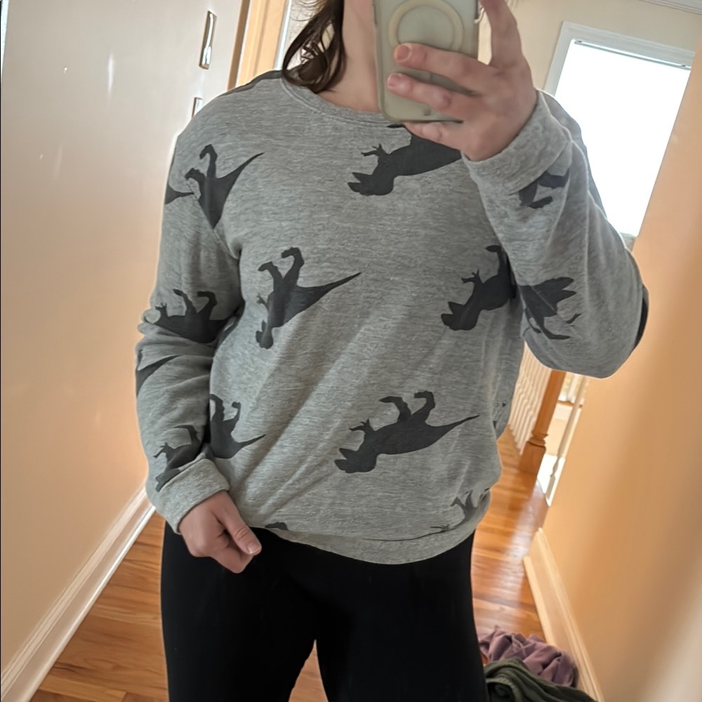 Gray Dinosaur Print Sweatshirt